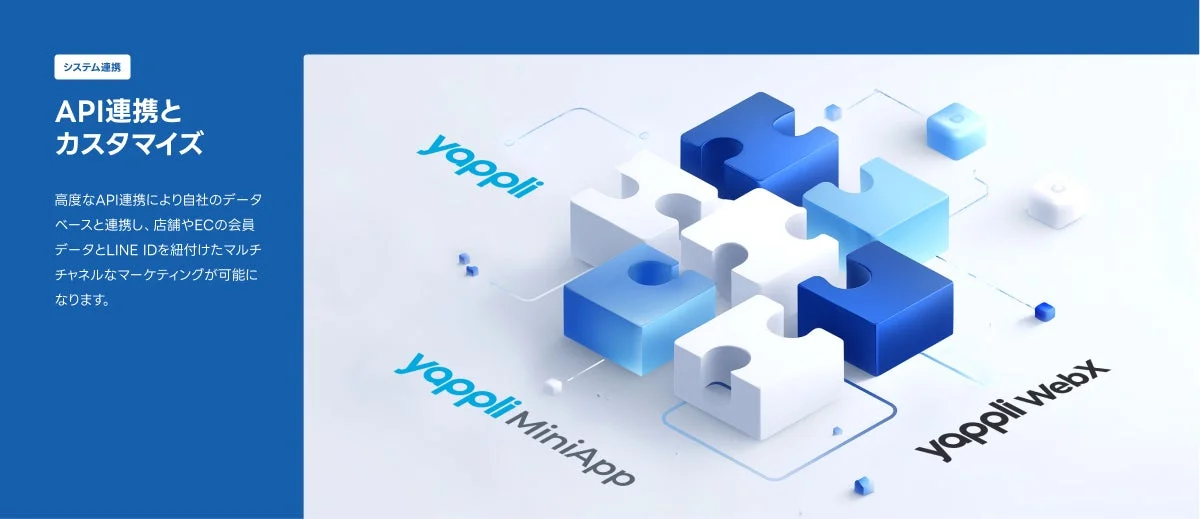 システム連携 API連携とカスタマイズ