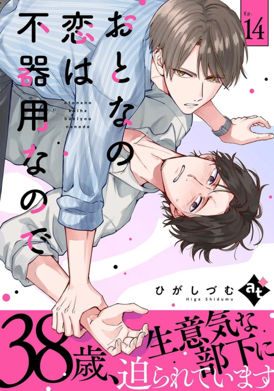 おとなの恋は不器用なので 原作マンガ表紙