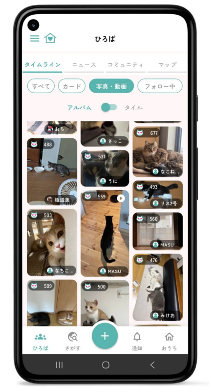 ねこみっけのタイムライン画面
