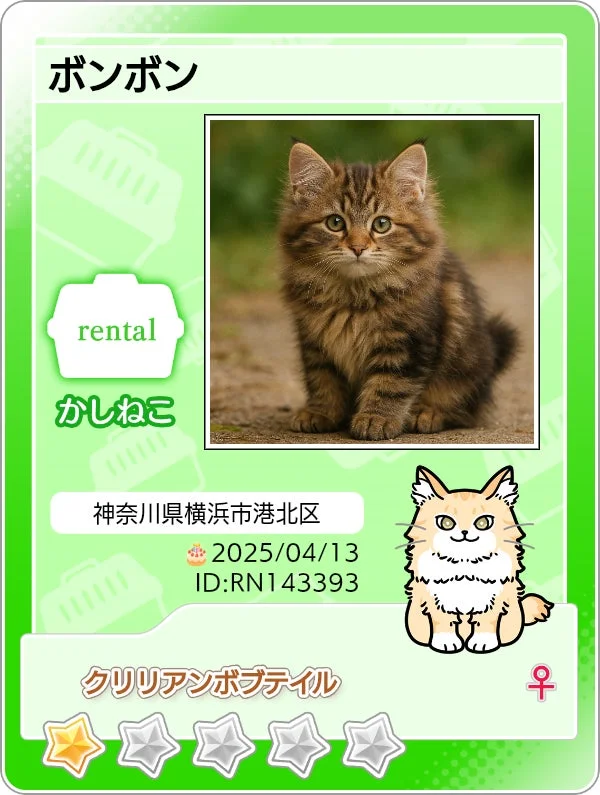 かしねこ「ボンボン」のマイニャンバーカード