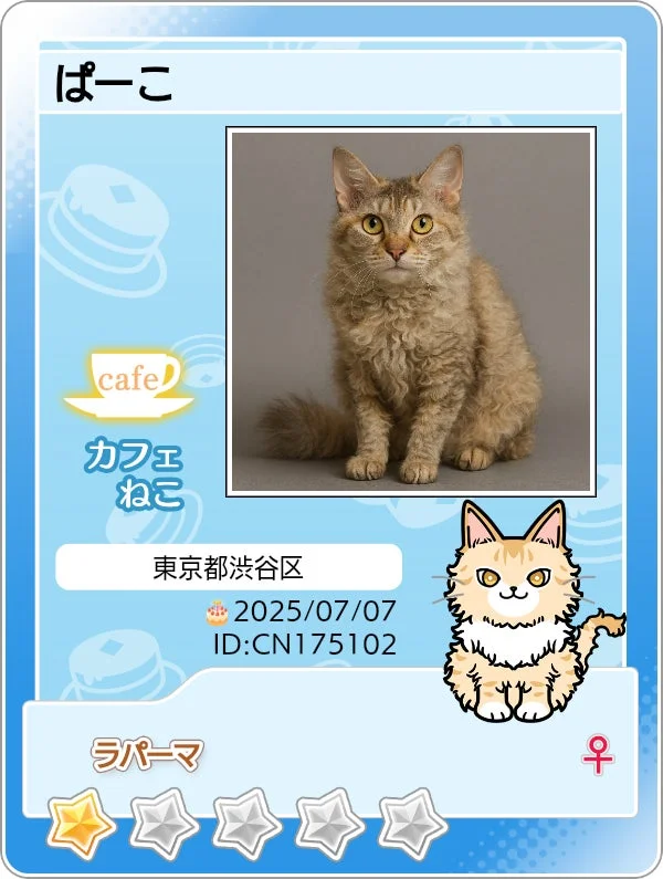 カフェねこ「ぱーこ」のマイニャンバーカード