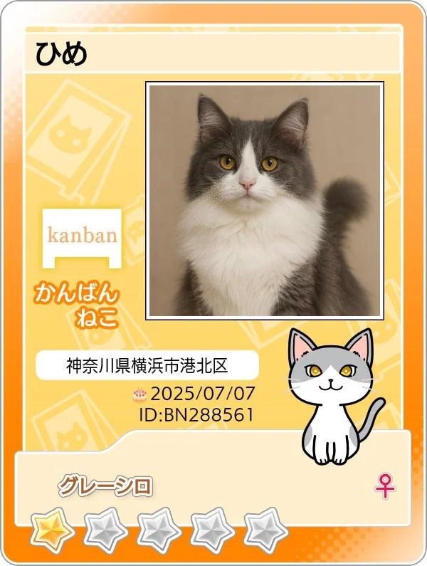 かんばんねこ「ひめ」のマイニャンバーカード