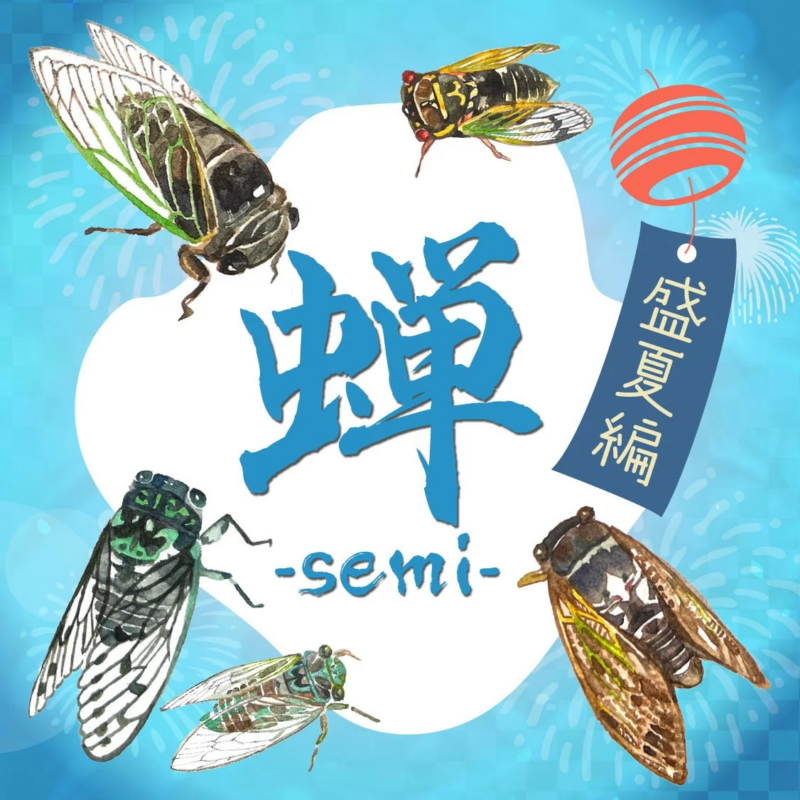 盛夏編