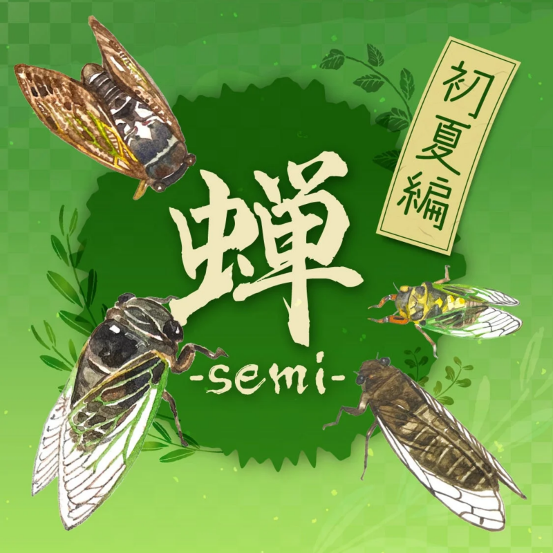 初夏編